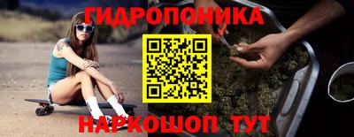ALPHA PVP Обь