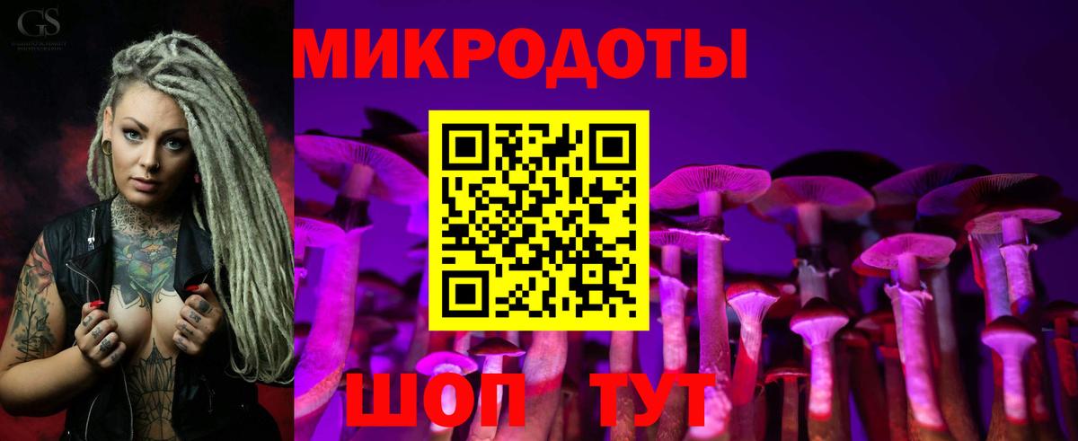 Псилоцибиновые грибы Psilocybe Сибай