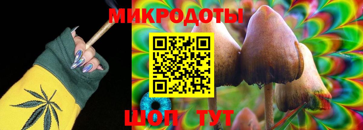 Сибай  Псилоцибиновые грибы мицелий  Вход с VPN  Псилоцибиновые грибы мицелий 
